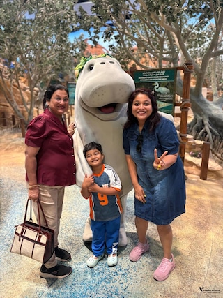 Best of Dubai Abu Dhabi feedback 4