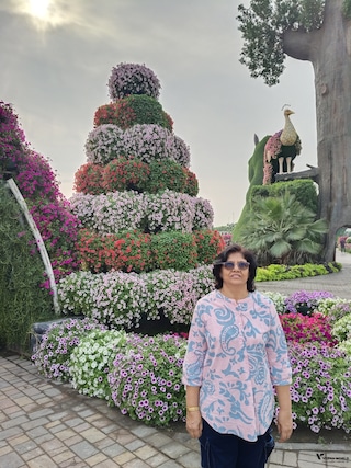 Best of Dubai Abu Dhabi feedback 6