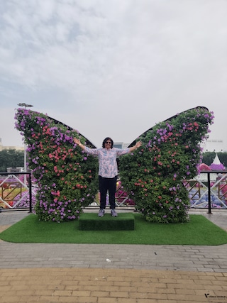 Best of Dubai Abu Dhabi feedback 7