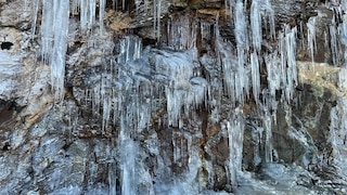 Assam Arunachal Meghalaya feedback 7