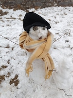 Assam Arunachal Meghalaya feedback 16