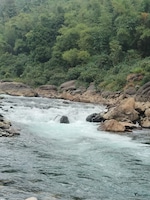 Assam Arunachal Meghalaya feedback 8