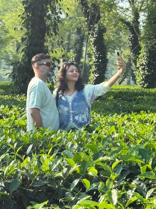 Assam Meghalaya Assam Meghalaya feedback 3