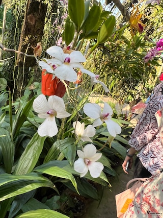 Assam Meghalaya feedback 9