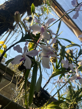 Assam Meghalaya feedback 11