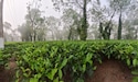 Assam Meghalaya - Pune Assam Meghalaya - Pune feedback 7