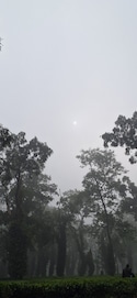 Assam Meghalaya - Pune Assam Meghalaya - Pune feedback 8