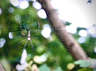 All of Meghalaya feedback 4