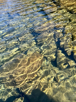 All of Meghalaya feedback 7