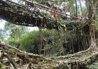 All of Meghalaya feedback 3