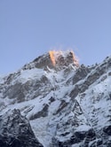 Char Dham Yatra - Kedarnath Badrinath Gangotri Yamunotri Char Dham Yatra - Kedarnath Badrinath Gangotri Yamunotri feedback 4