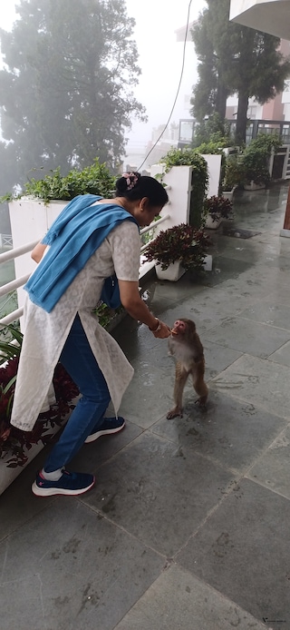 Nainital Mussoorie Haridwar feedback 6