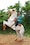 Highlights of Rajasthan feedback NaN