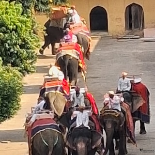 Highlights of Rajasthan Highlights of Rajasthan feedback 6