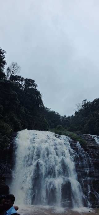 Coorg Getaway Coorg Getaway feedback 7