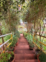 Munnar Alleppey feedback NaN