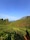 Munnar Alleppey feedback NaN