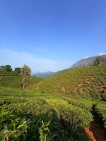 Munnar Alleppey feedback NaN
