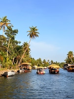 Munnar Alleppey feedback NaN