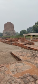 Sarnath Varanasi feedback 1