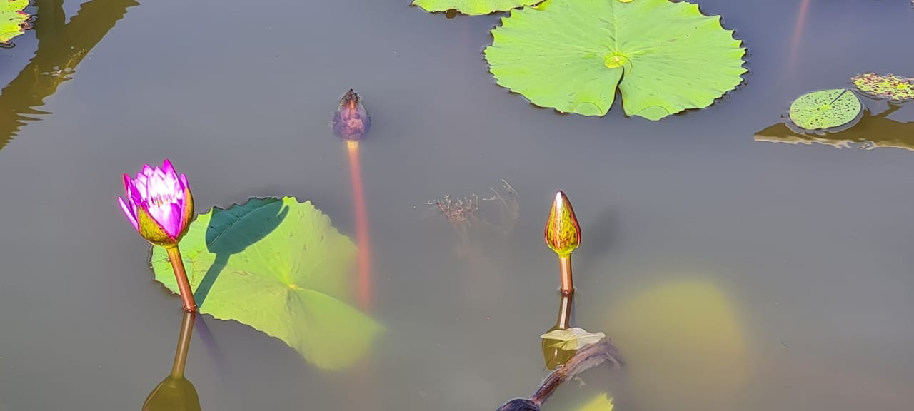 Kerala Tailormade feedback 3