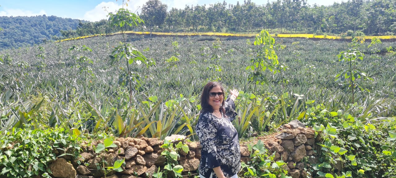 Kerala Tailormade feedback 6