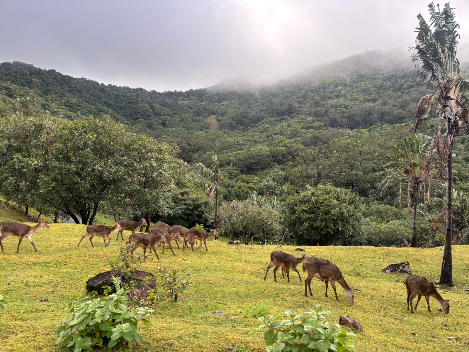 Customized Holiday Mauritius feedback 4