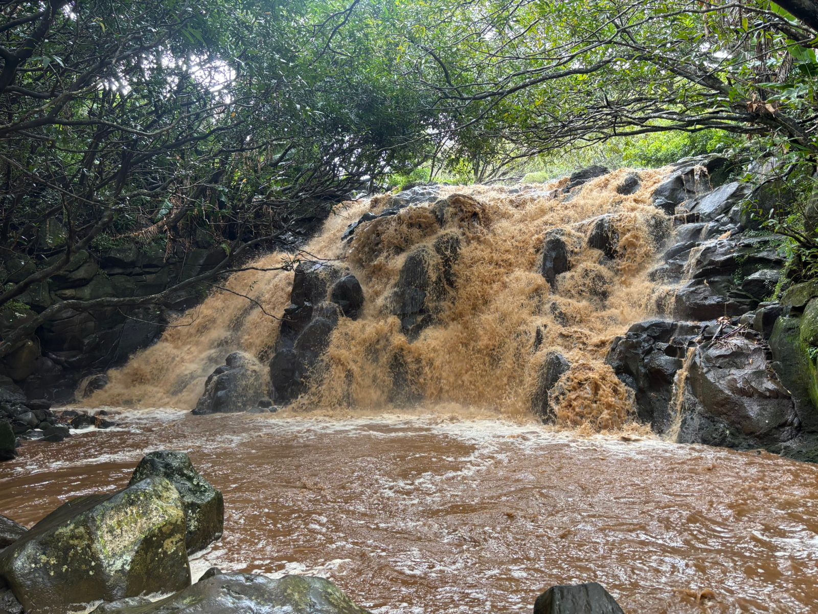 Customized Holiday Mauritius feedback NaN