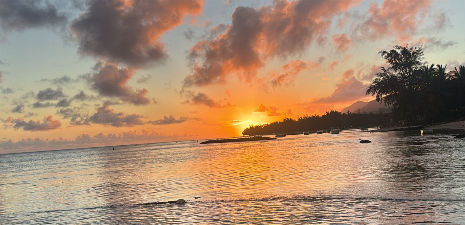 Customized Holiday Mauritius feedback 6