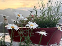 Ooty Getaway Ooty Getaway feedback 13