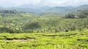 Ooty Getaway Ooty Getaway feedback 14