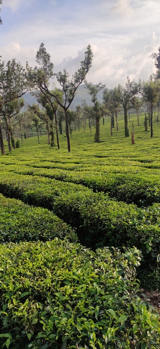 Wonders of Kerala feedback 5