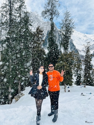 Honeymoon Special Shimla Manali Honeymoon Special Shimla Manali feedback 4