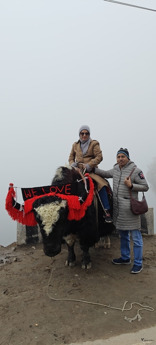 Sikkim Darjeeling Gangtok Sikkim Darjeeling Gangtok feedback 3