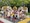 Bangkok Pattaya Phuket Krabi feedback NaN