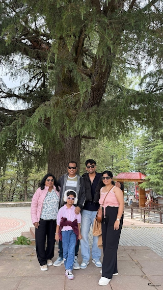 Shimla Manali - Pune Shimla Manali - Pune feedback 3
