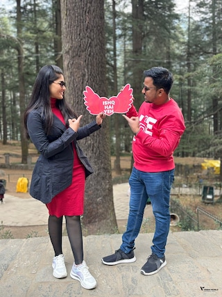 Honeymoon Special Shimla Manali Honeymoon Special Shimla Manali feedback 3