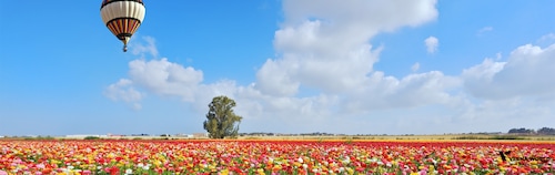 Israel Tour Packages