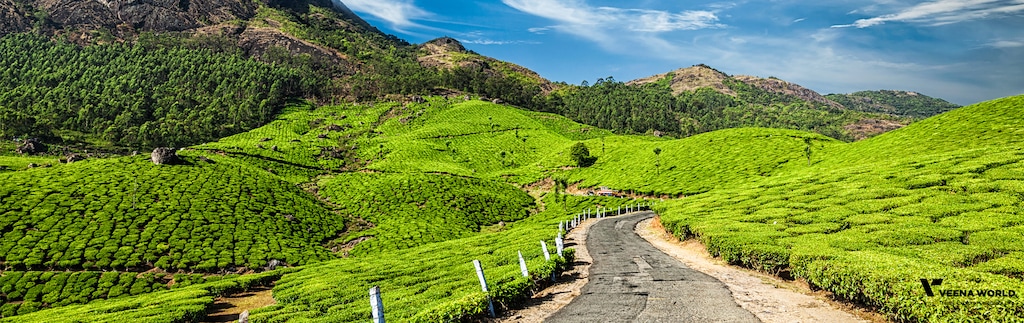munnar