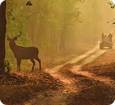 Madhya Pradesh