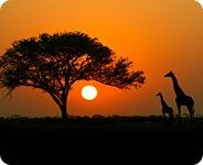 Africa
