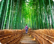 Far East Asia